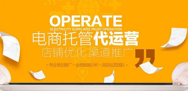  Taobao Agency Operation: What services does Taobao Agency Operation have?